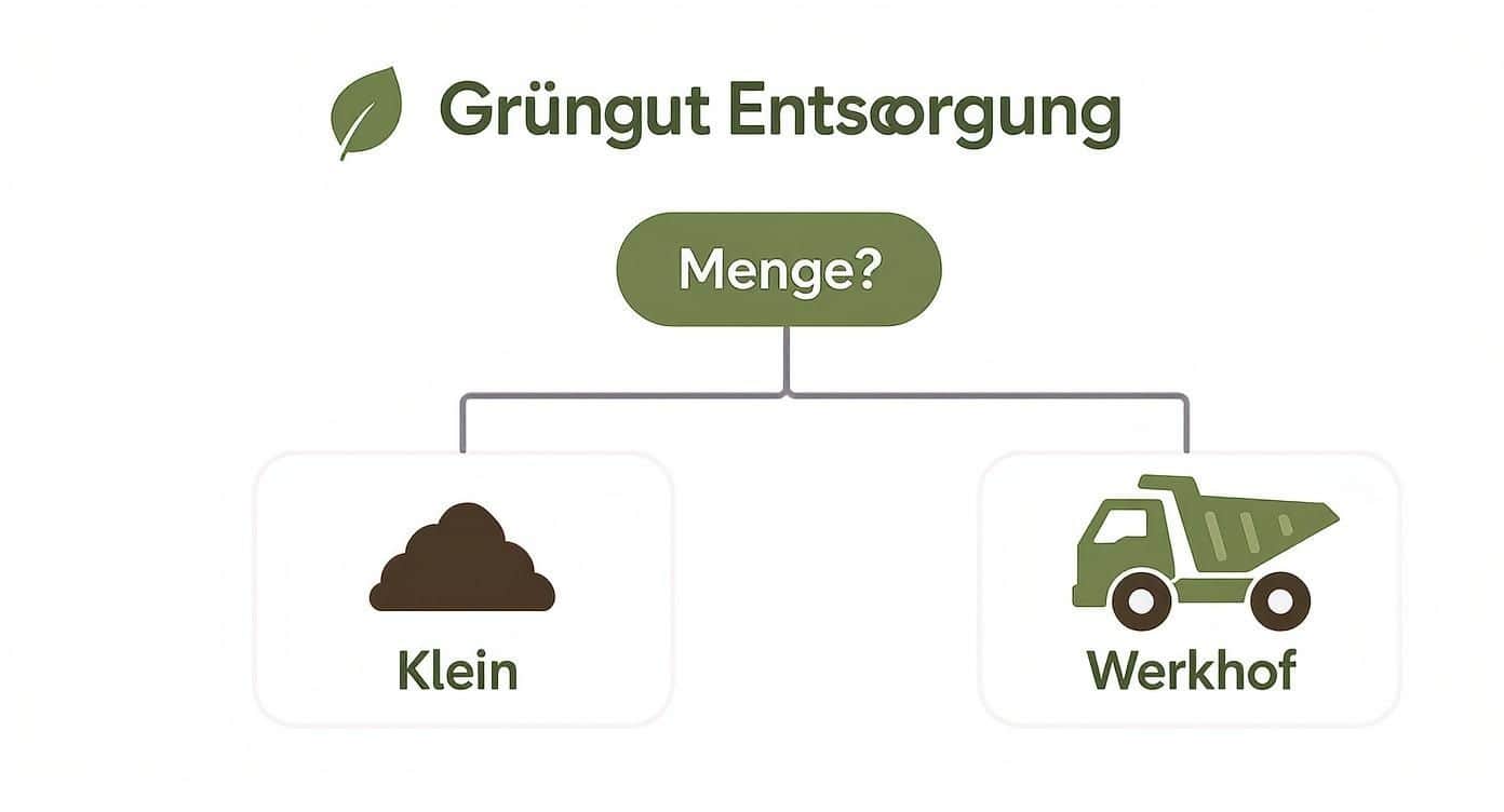 Flussdiagramm zur Grüngutentsorgung: Menge entscheidet über Kleinentsorgung oder Abgabe beim Werkhof.