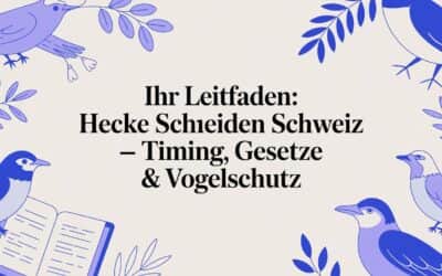 Ihr Leitfaden: Hecke schneiden Schweiz – Timing, Gesetze & Vogelschutz