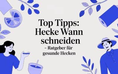 Top Tipps: hecke wann schneiden – Ratgeber für gesunde Hecken