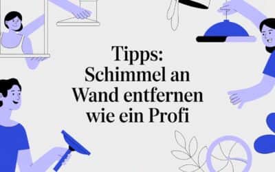 Tipps: Schimmel an Wand entfernen wie ein Profi
