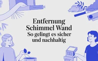 Entfernung Schimmel Wand so gelingt es sicher und nachhaltig