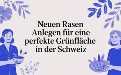 Neuen Rasen anlegen für eine perfekte Grünfläche in der Schweiz